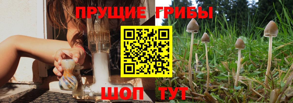 Галлюциногенные грибы GOLDEN TEACHER  Вход с VPN  Конаково 